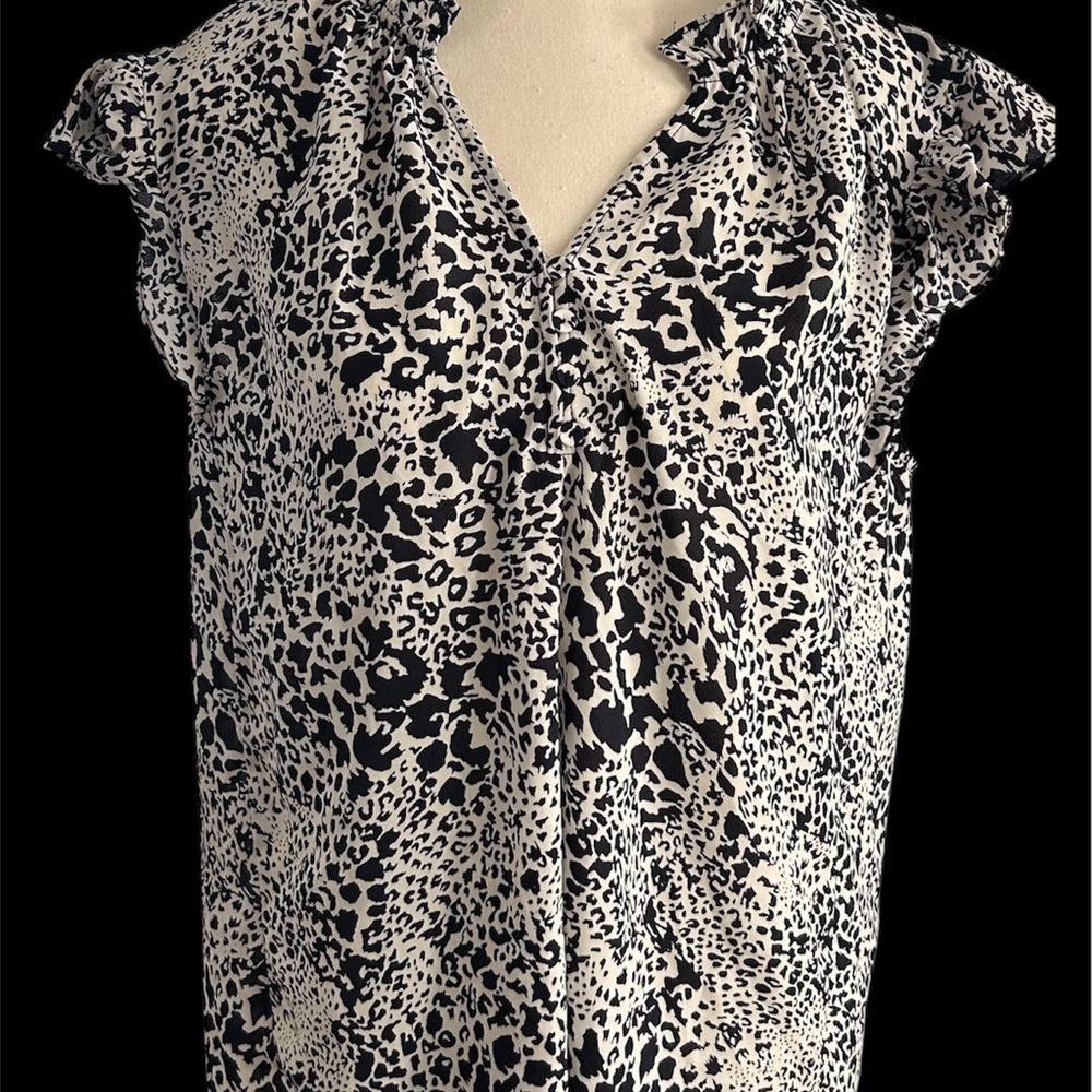 Carolina Belle Black and White Flutter Sleeve Ruffled Blouse